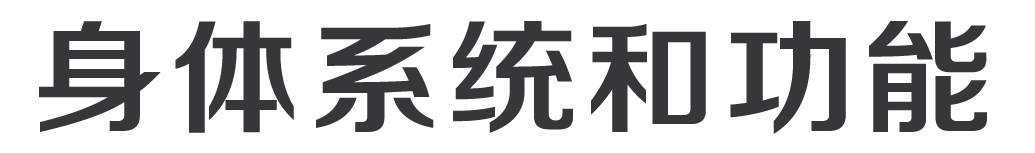 Body System and Functions